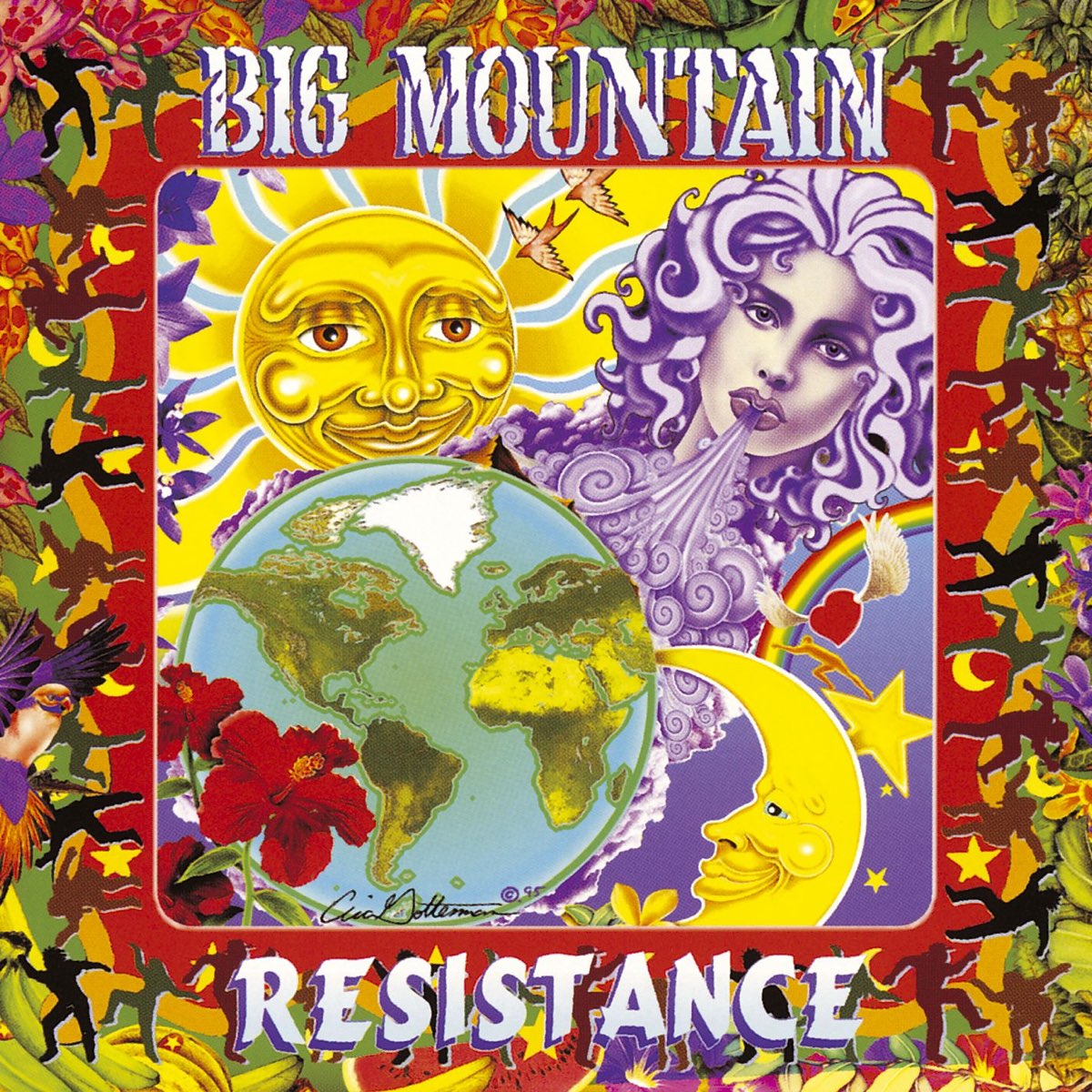 BIG MOUNTAIN - RESISTANCE - USED CD