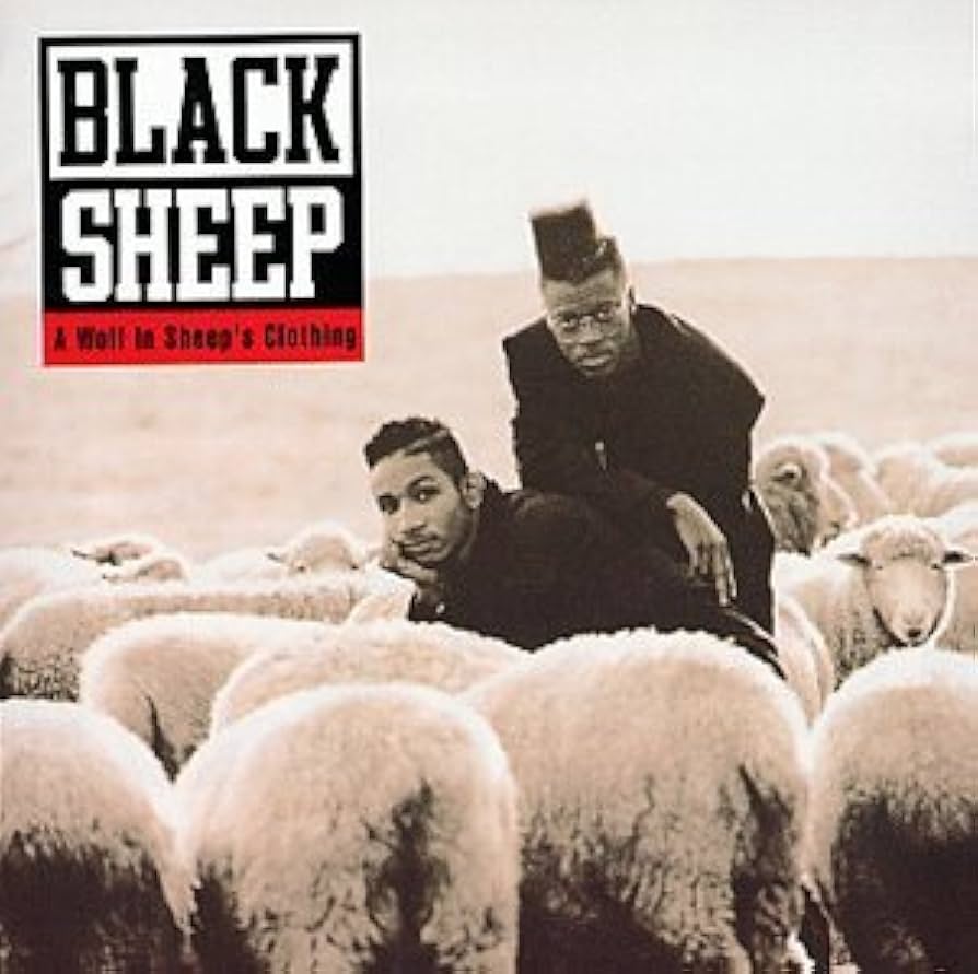 BLACK SHEEP- A WOLF IN SHEEPS CLOTHING- USED CD