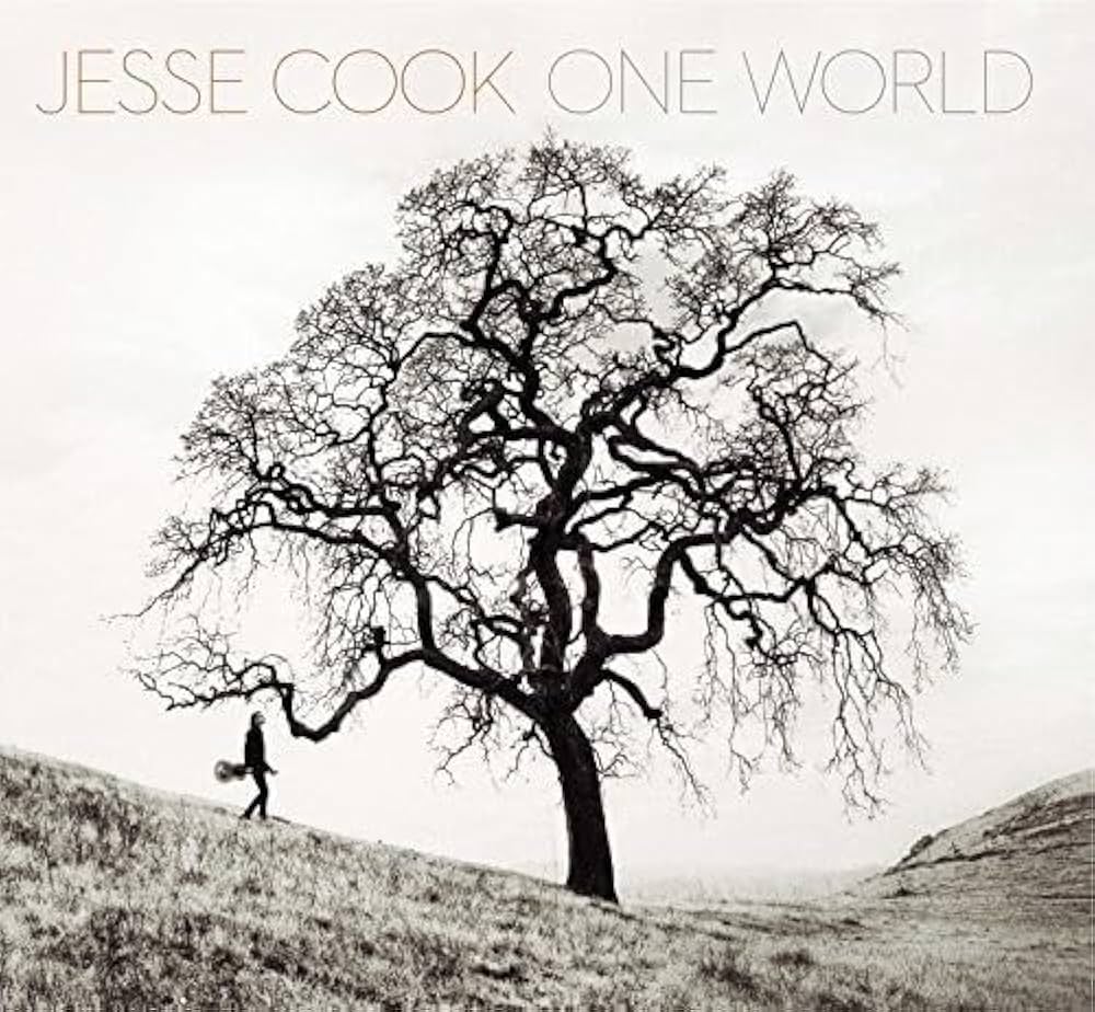 JESSE COOK - ONE WORLD - USED CD