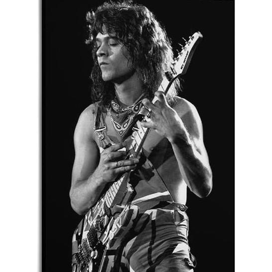 VAN HALEN - PORTRAIT - TIN SIGN