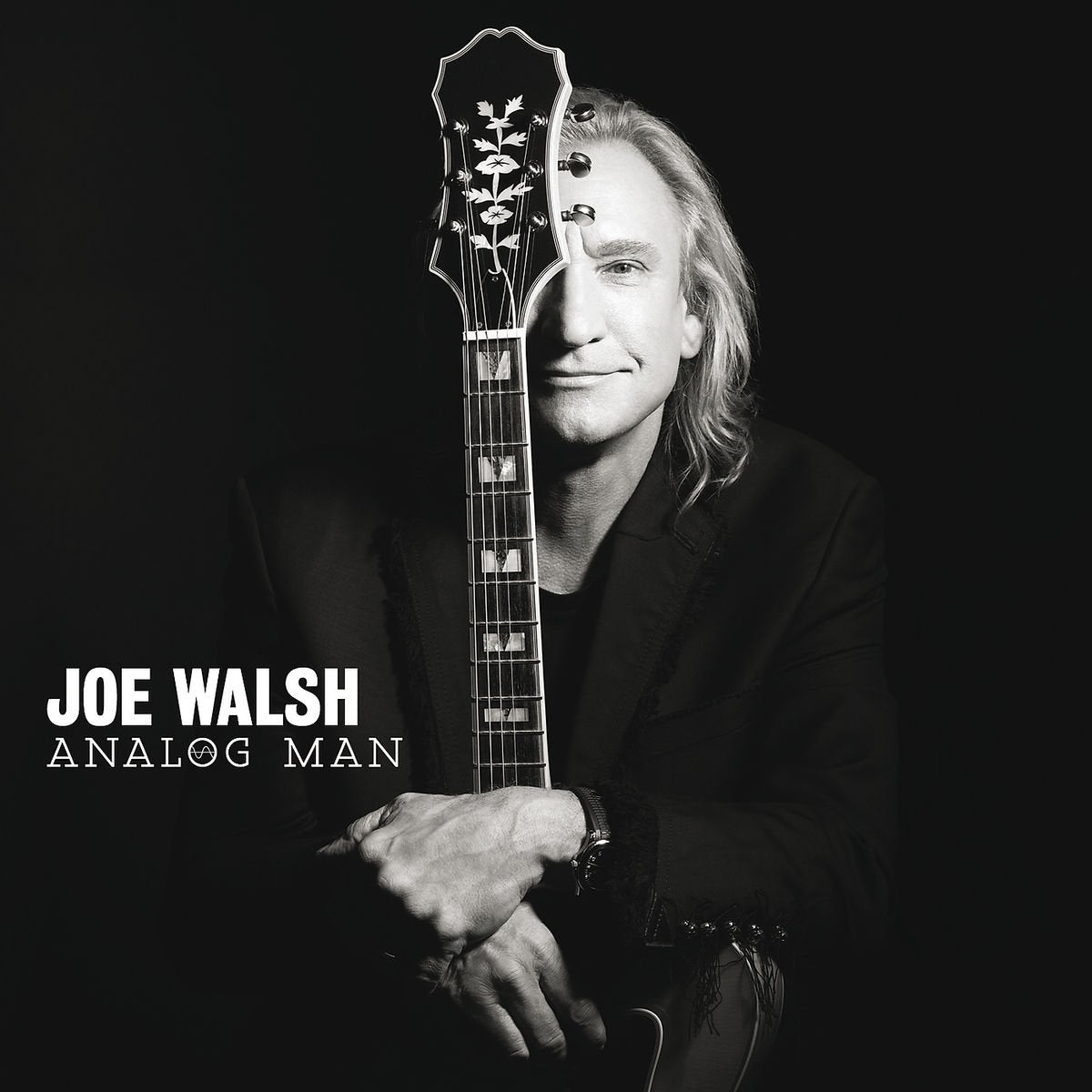 WALSH, JOE - ANALOG MAN- USED CD