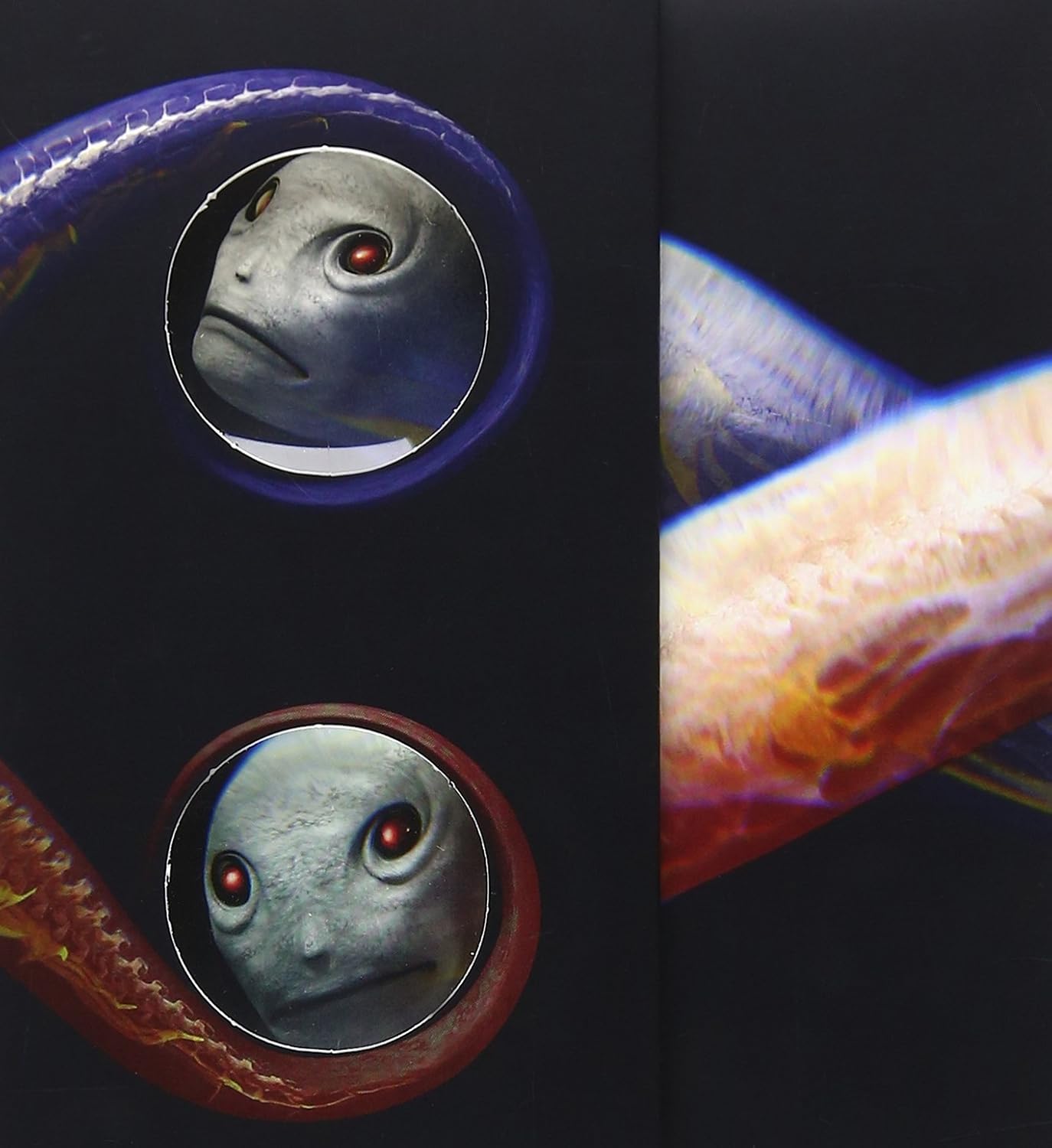 TOOL- VICARIOUS DVD SINGLE- USED MUSIC DVD