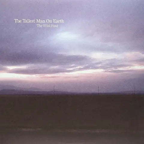 THE TALLEST MAN ON EARTH - THE WILD HUNT - USED VINYL