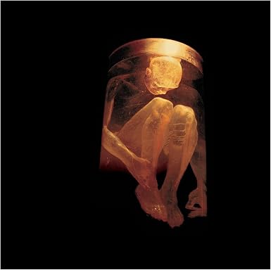ALICE IN CHAINS- NOTHING SAFE