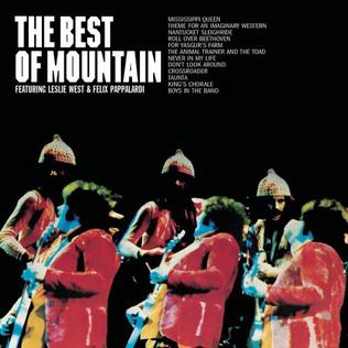 MOUNTAIN - THE BEST OF - USED CD