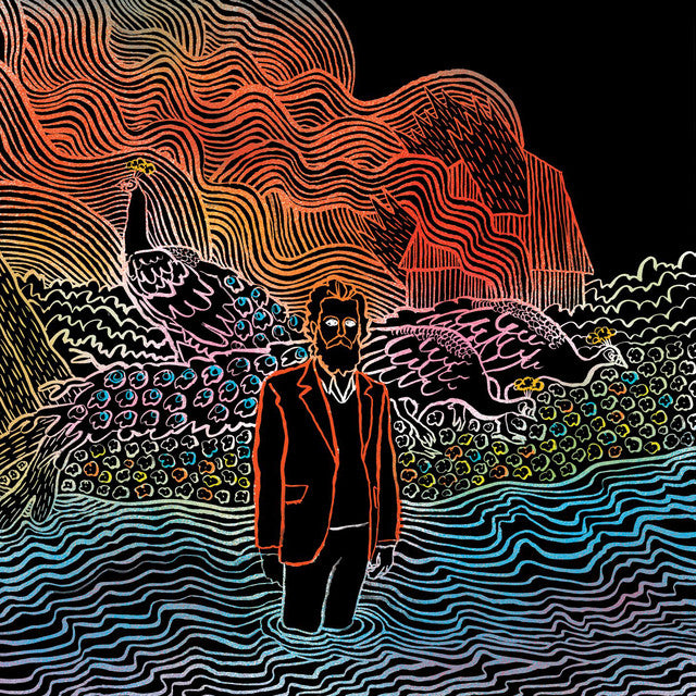 IRON AND WINE - KISS EACH OTHER CLEAN - USED CD
