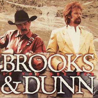 BROOKS & DUNN - IF YOU SEE HER - Used CD