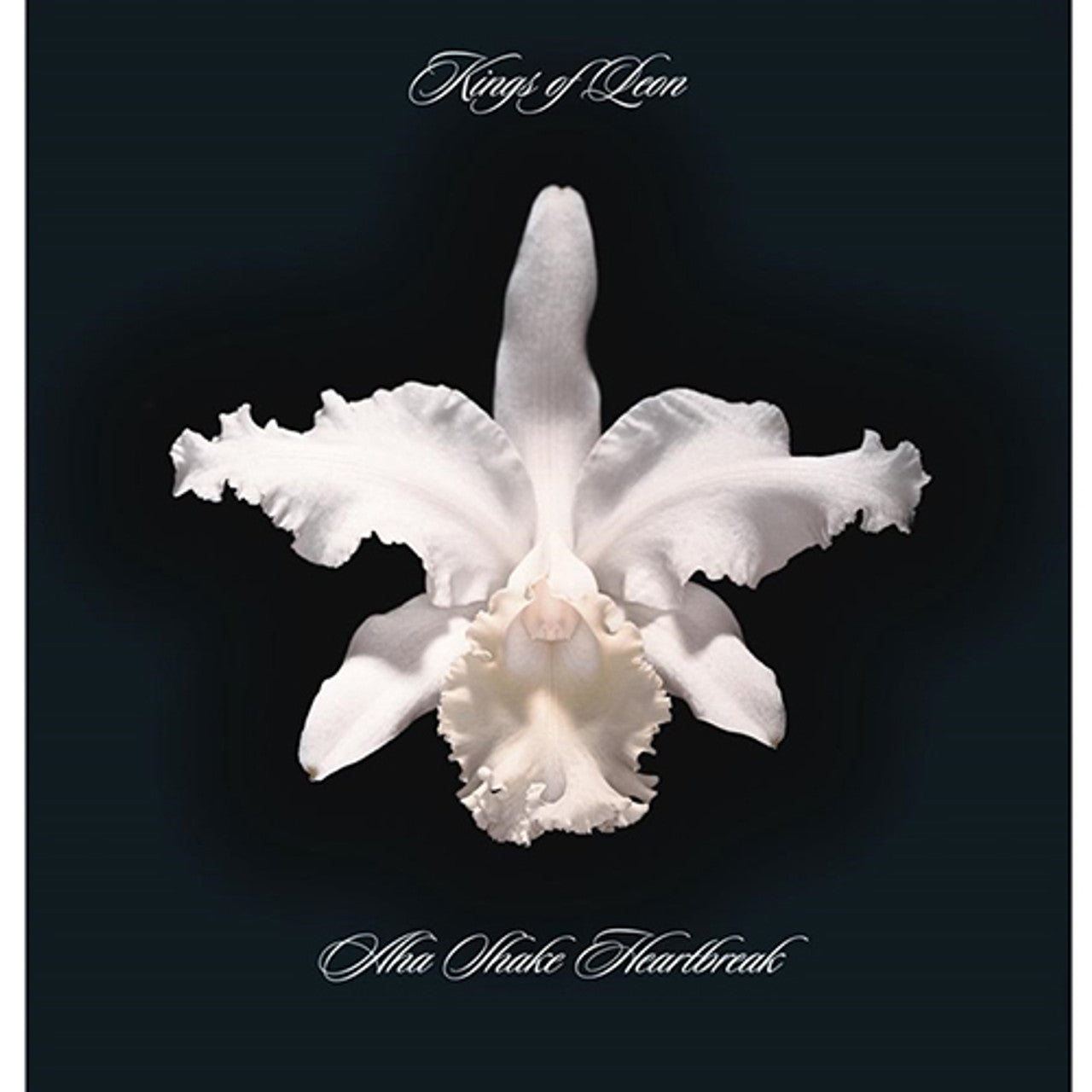 KINGS OF LEON - AHA SHAKE HEARTBREAK - 2LP LTD EDITION TRANSPARENT VINYL - New Vinyl