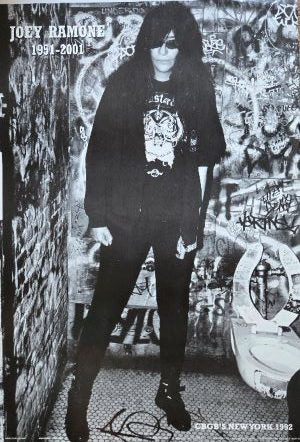 JOEY RAMONE - BATHROOM - POSTER 24 X 36