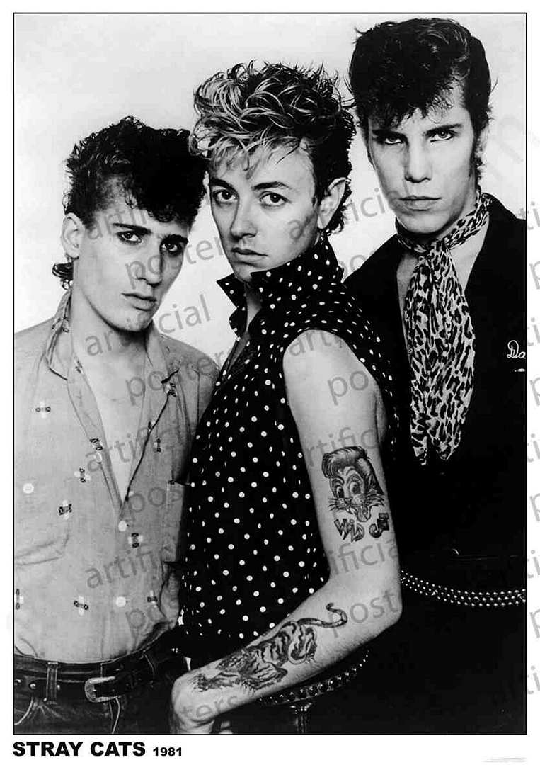 PER8334-STRAY CATS GROUP 1981 - LARGE POSTER 24X36"