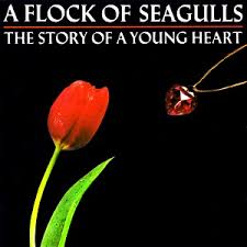 A FLOCK OF SEAGULLS - THE STORY OF A YOUNG HEART - USED CD