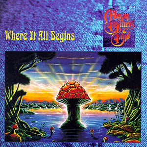 ALLMAN BROTHERS BAND - WHERE IT ALL BEGINS - USED CD