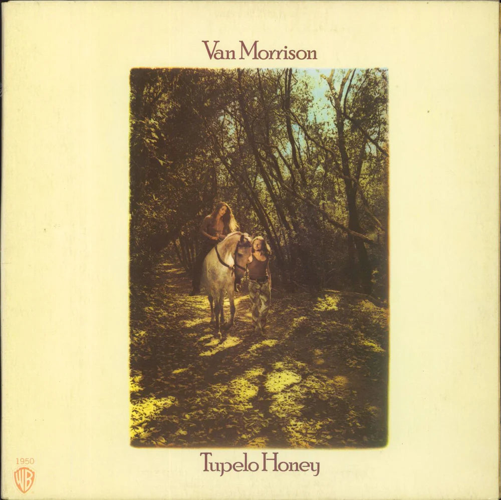 VAN MORRISON - TUPELO HONEY - USED CD