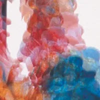 DUNGEN- SKIT | ALLT- USED CD