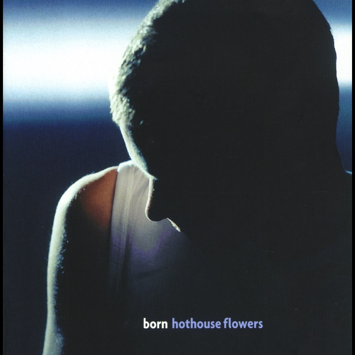HOTHOUSE FLOWERS- BORN- USED CD