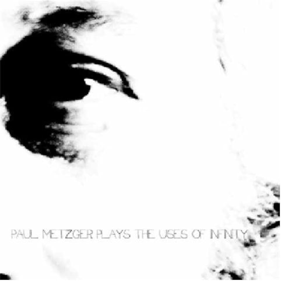PAUL METZGER PLAYS THE USES OF INFINITY- USED CD