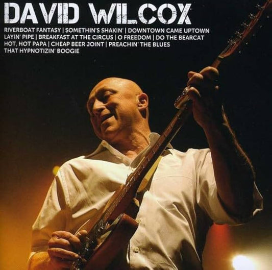 DAVID WILCOX- ICON- USED CD