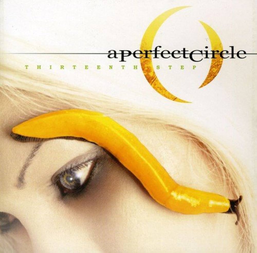 A PERFECT CIRCLE- THIRTEENTH STEP CD