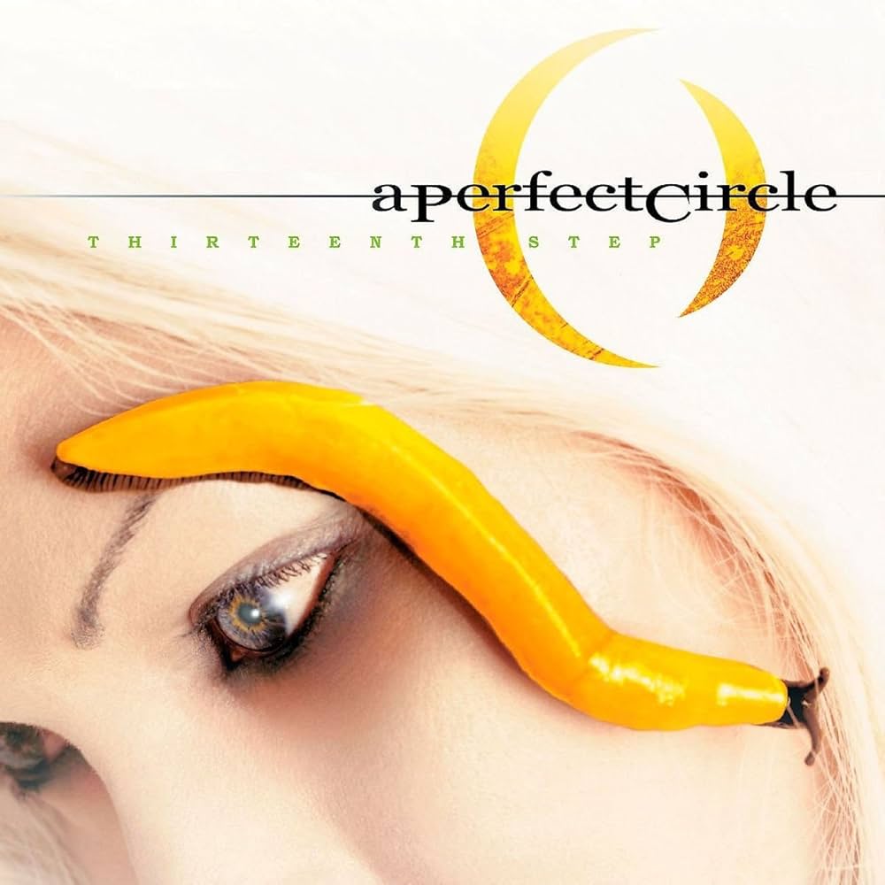 A PERFECT CIRCLE- THIRTEENTH STEP- USED CD