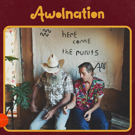 AWOLNATION- HERE COME THE RUNTS- NEW CD