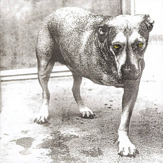 ALICE IN CHAINS - ALICE IN CHAINS - USED CD