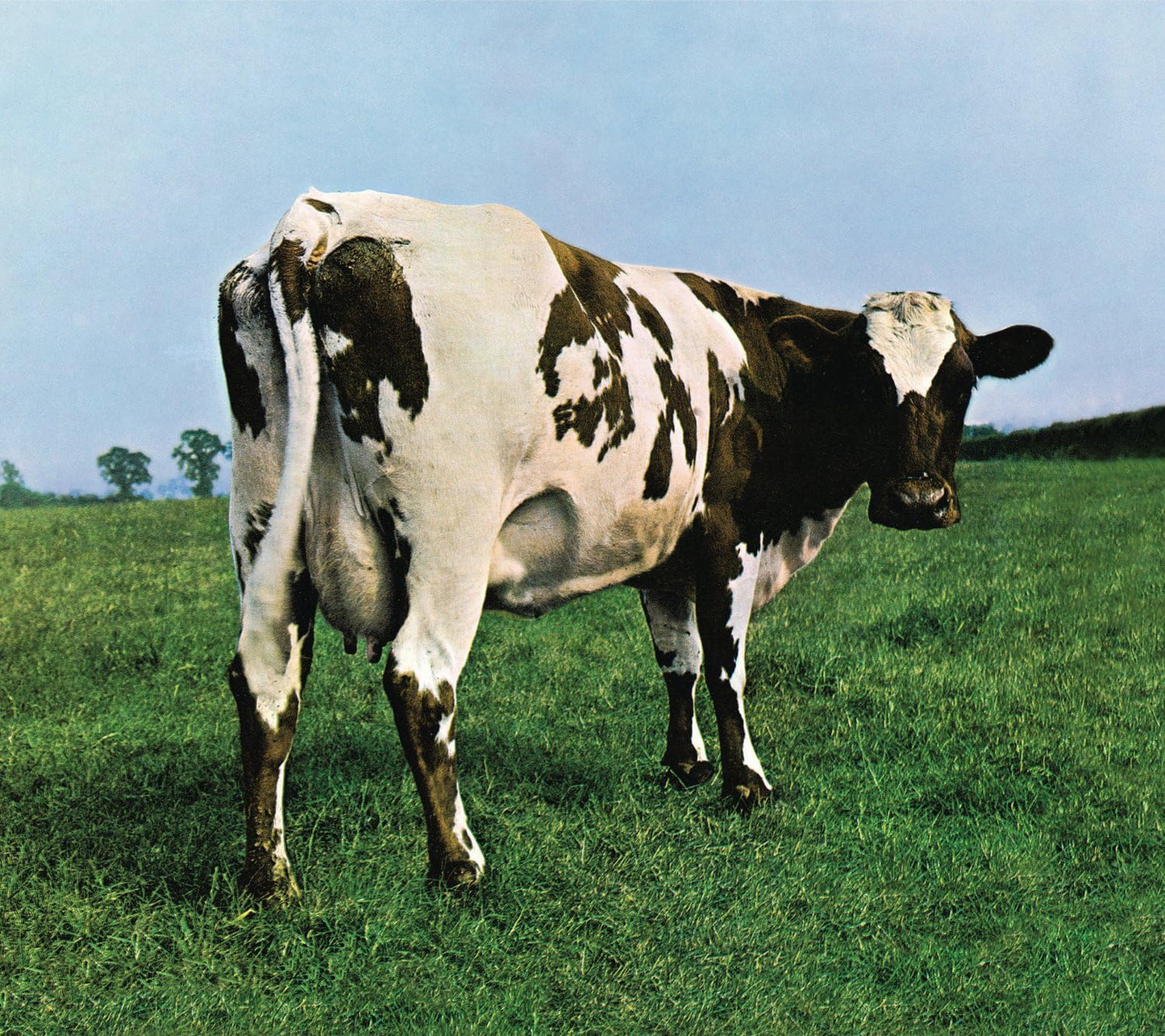 PINK FLOYD - ATOM HEART MOTHER - USED VINYL