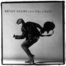 ADAMS, BRYAN - CUTS LIKE A KNIFE   - USED VINYL