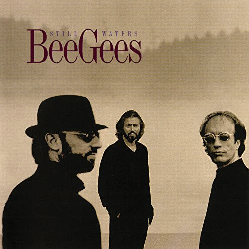 BEEGEES - STILL WATERS - USED CD