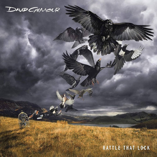 GILMOUR, DAVID - RATTLE THAT LO-CK - VINYL LP   - New Vinyl
