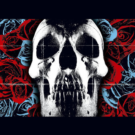 DEFTONES - DEFTONES 20TH ANNIVERSARY EDITION - NEW VINYL