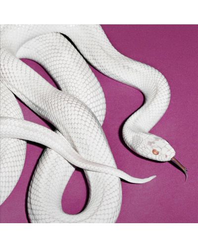 DEFTONES - PRIVATE MUSIC (ALTERNATE CD COVER) (METAL) - NEW CD