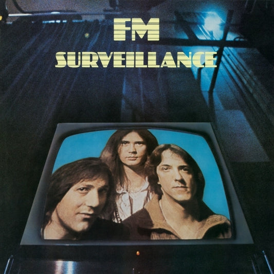 FM - SURVEILLANCE - USED VINYL