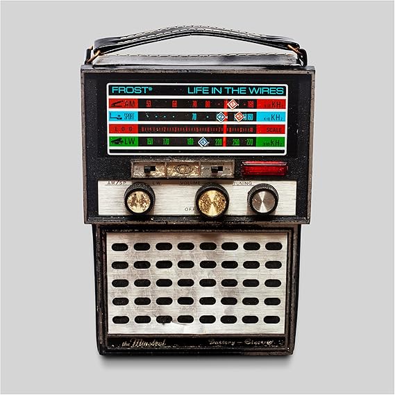 FROST - LIFE IN THE WIRES - 2LP - NEW VINYL