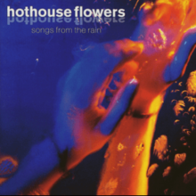 HOTHOUSE FLOWERS- SONGS FROM THE RAIN- USED CD