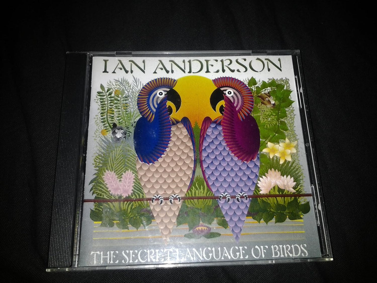 IAN ANDERSON - THE SECRET LANGUAGE OF BIRDS - UCD