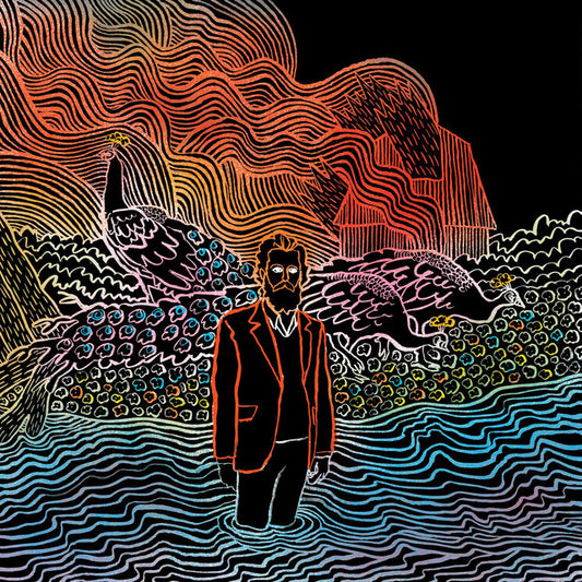 IRON AND WINE - KISS EACH OTHER CLEAN - USED CD