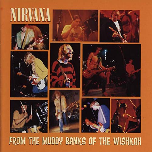 NIRVANA - FROM THE MUDDY BANKS OF THE WISHKAH - Used CD