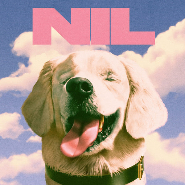 DIRTY NIL, THE - NIL "FUCK ART" - USED CD