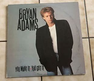 ADAMS, BRYAN - YOU WANT IT YOU GOT IT   - USED VINYL