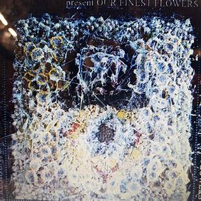 RESIDENTS, THE - PRESENT B.S. (RSD)   - New Vinyl