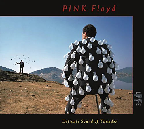 PINK FLOYD - DELICATE SOUND OF THUNDER - 2CD SET - USED CD