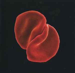 PETER GABRIEL - SCRATCH MY BACK - 2010 - USED CD