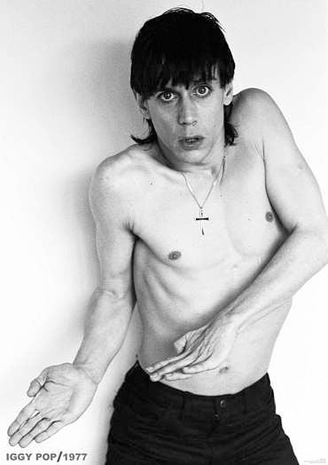 PER7411-IGGY POP B&W PORTRAIT 1977 - LARGE POSTER 24X36"
