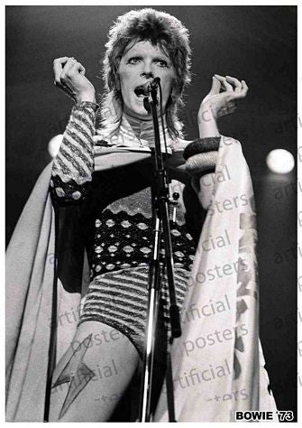 PER8663-DAVID BOWIE ZIGGY STARDUST '73 - LARGE POSTER 24X36"