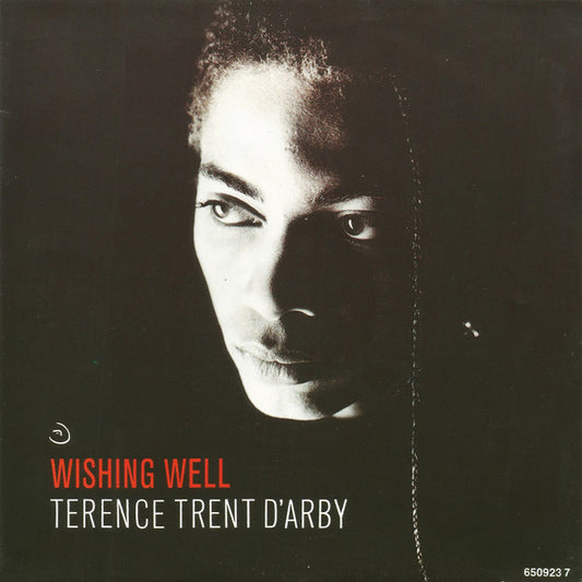 DARBY, TERRENCE TRENT - WISHING WELL