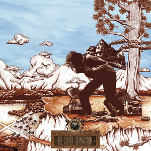OKKERVIL RIVER- THE SILVER GYMNASIUM- USED CD