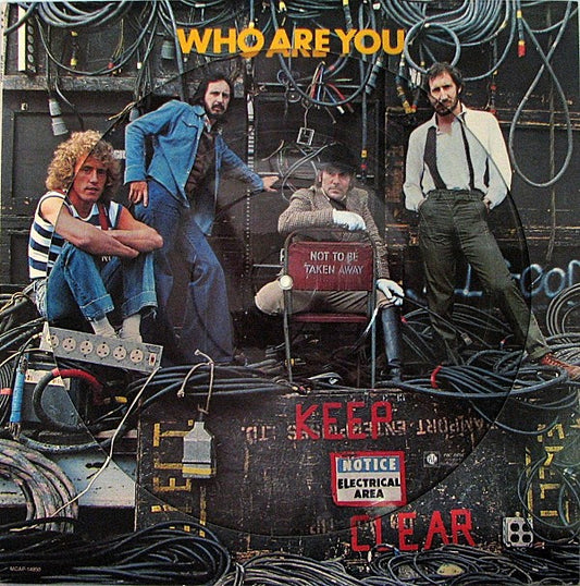 THE WHO - WHO ARE YOU PICTURE DISC ORIGINAL 1978 PRESSING - USED VINYL