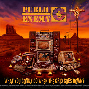 PUBLIC ENEMY-WHAT YOU GONNA DO WHEN THE GRID GOES DOWN - NEW CD