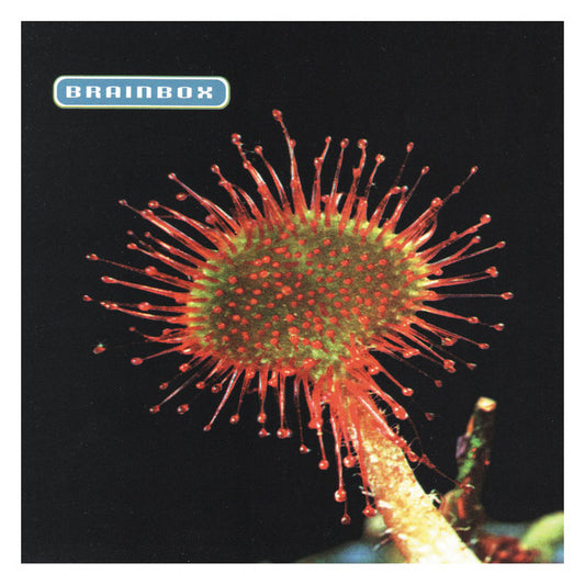 BRAINBOX - PRIMORDIA - USED CD