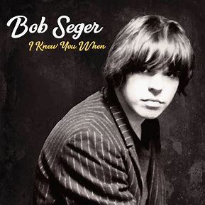 SEGER, BOB - I KNEW YOU WHEN   - New Vinyl